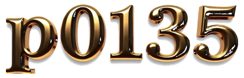 p0135 logo